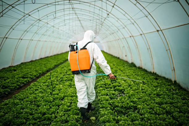  White Sulphur Springs, WV Pest Control Pros