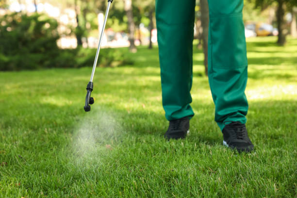 Reliable White Sulphur Springs, WV Pest Control Solutions