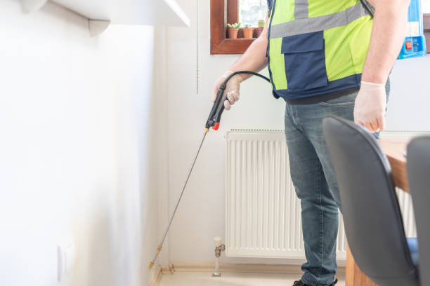 Best Affordable Pest Control Services  in White Sulphur Springs, WV